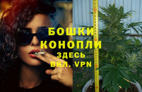 крисы Медногорск