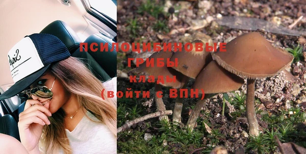 крисы Медногорск