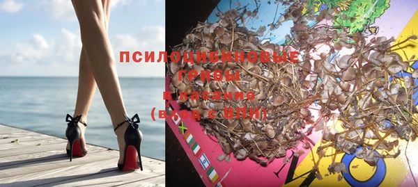 крисы Медногорск
