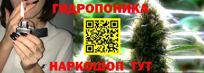 Альфа ПВП Берёзовский