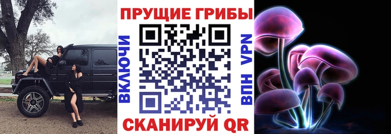 купить наркоту  Ессентуки  mega онион  Галлюциногенные грибы прущие грибы 