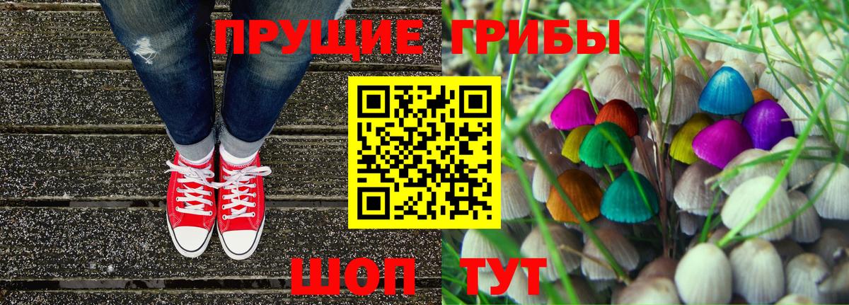 Псилоцибиновые грибы Cubensis  Ессентуки 