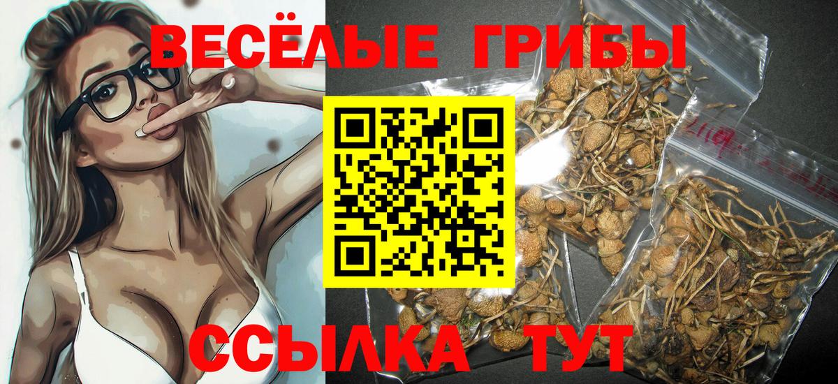 Псилоцибиновые грибы ЛСД  Галлюциногенные грибы GOLDEN TEACHER  Ессентуки  Вход с VPN 