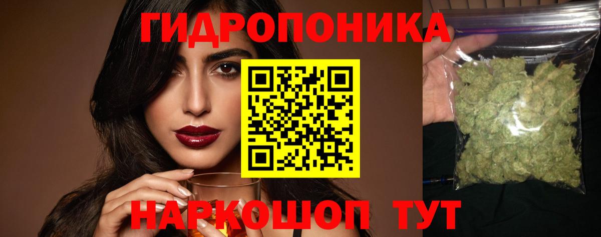 Шишки марихуана AK-47 Ессентуки